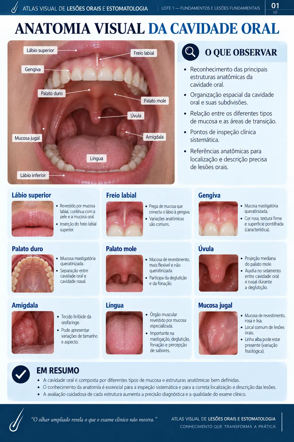 Página do ORALMAP: Mucosa Oral Normal × Alterada